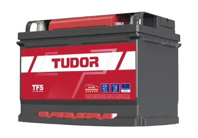 Tudor